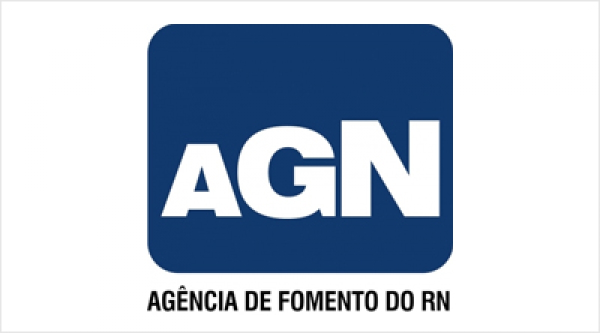 Curso de Capacitação Anual AGN - 2024.2